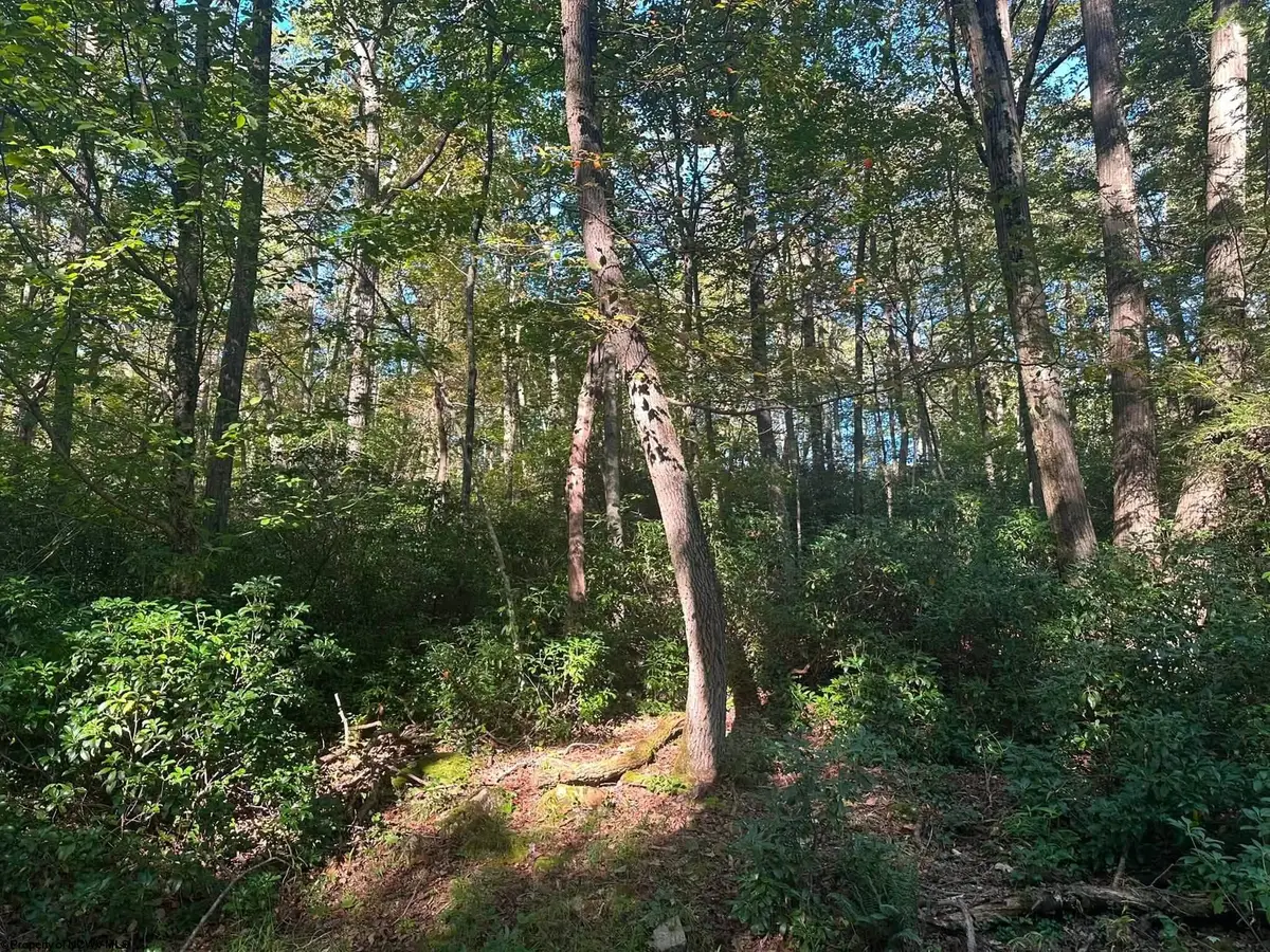 Lot 172 & 173 Dogwood Drive, Terra Alta, WV 26764 - #1