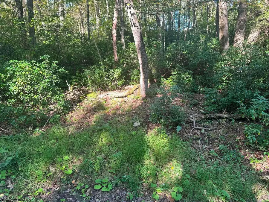 Lot 172 & 173 Dogwood Drive, Terra Alta, WV 26764 - #2