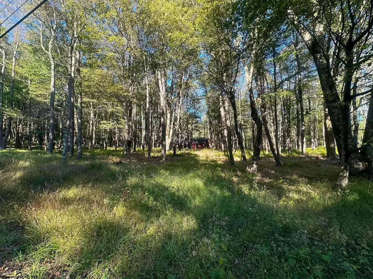 Lot 21 Alpine Drive, Terra Alta, WV 26764 - #1