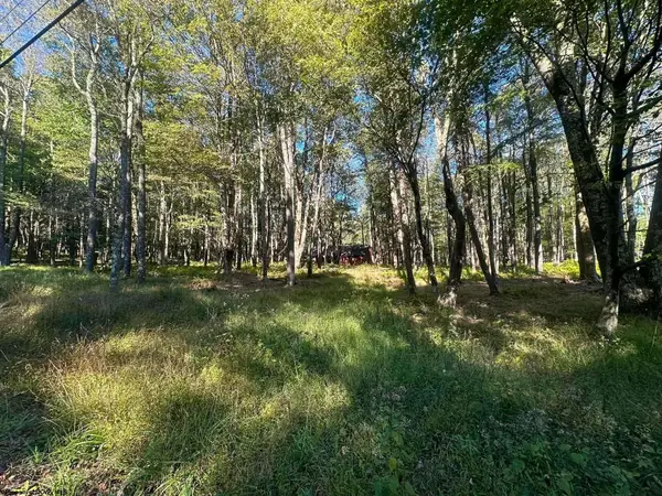 Lot 21 Alpine Drive, Terra Alta, WV 26764
