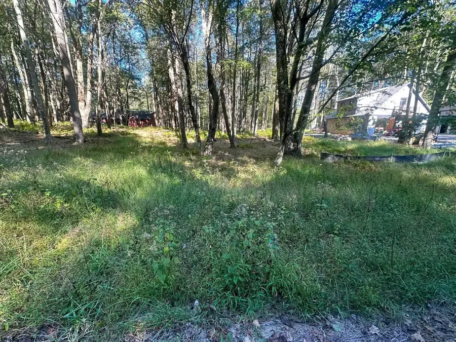 Lot 21 Alpine Drive, Terra Alta, WV 26764 - #2