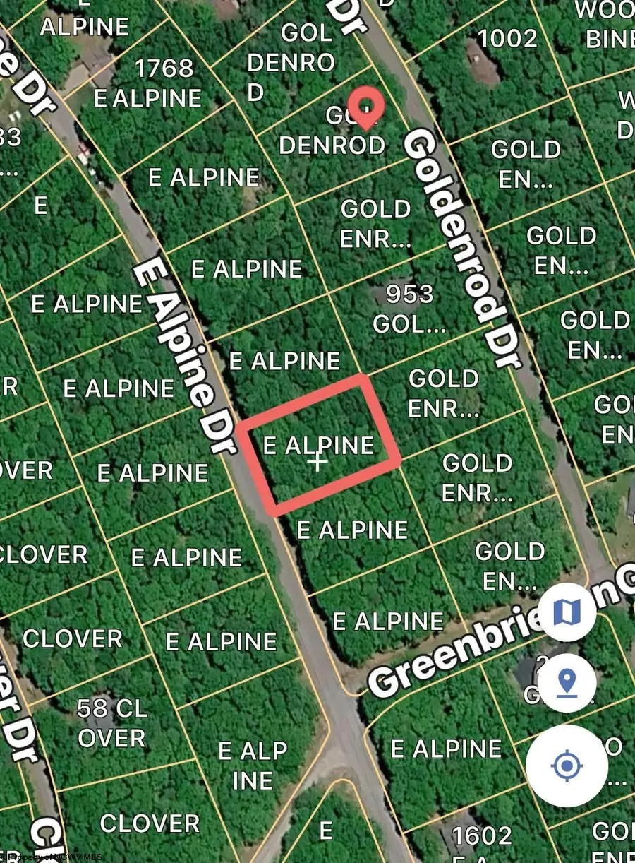 Lot 21 Alpine Drive, Terra Alta, WV 26764 - #3