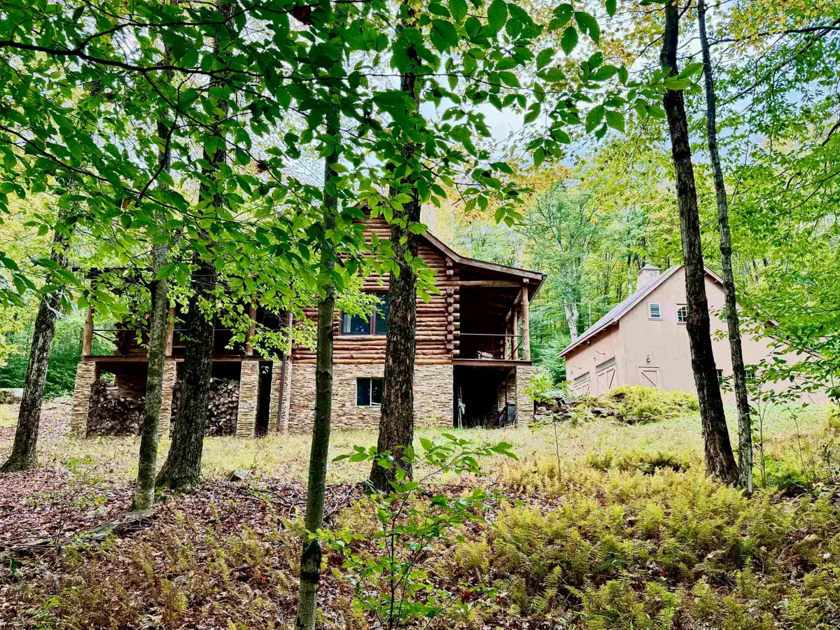920 Sand Run Road, Davis, WV 26260-0000 - #1