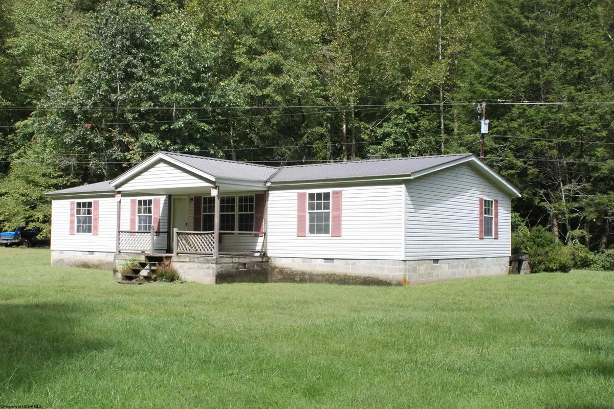 4477 Diana Drive, Webster Springs, WV 26288-0000 - #1