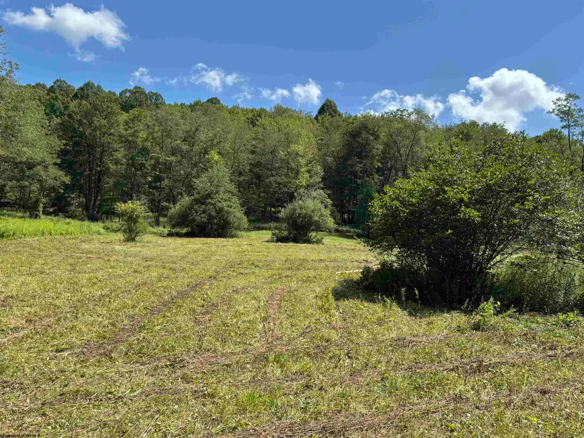 TBD Hunters Fork Road, Belington, WV 26250 - #1