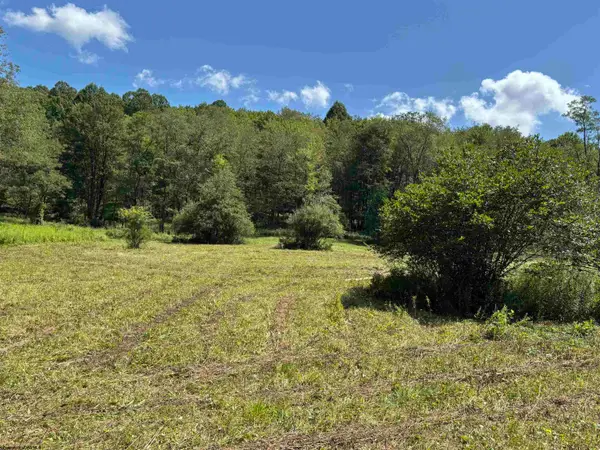 TBD Hunters Fork Road, Belington, WV 26250