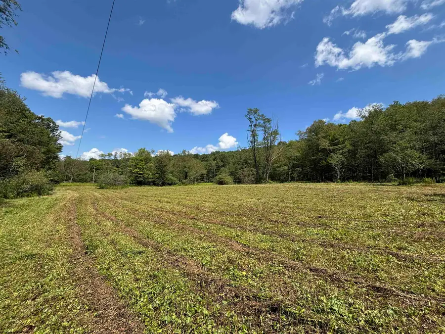 TBD Hunters Fork Road, Belington, WV 26250 - #2