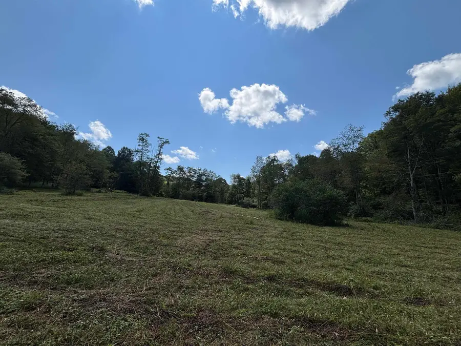 TBD Hunters Fork Road, Belington, WV 26250 - #3