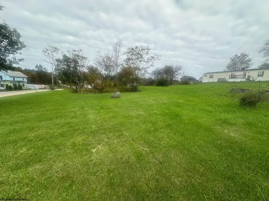 603 W State Avenue, Terra Alta, WV 26764 - #2