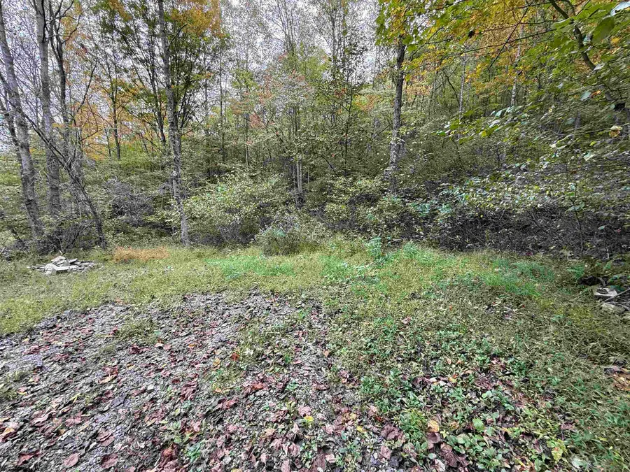 TBD Spencer Street, Flemington, WV 26347 - #3