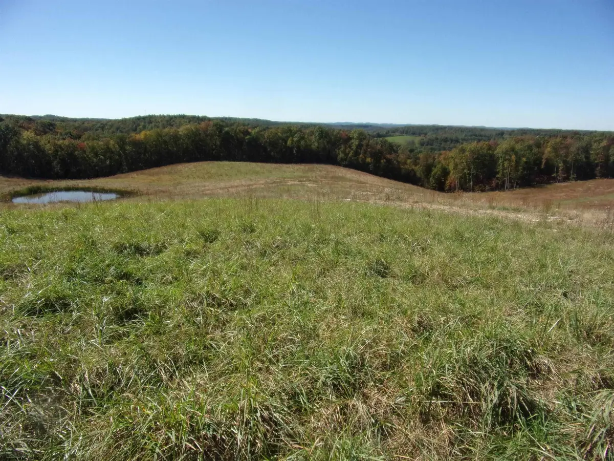 0 Everson Road, Buckhannon, WV 26201 - #1