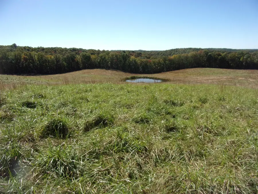 0 Everson Road, Buckhannon, WV 26201 - #2