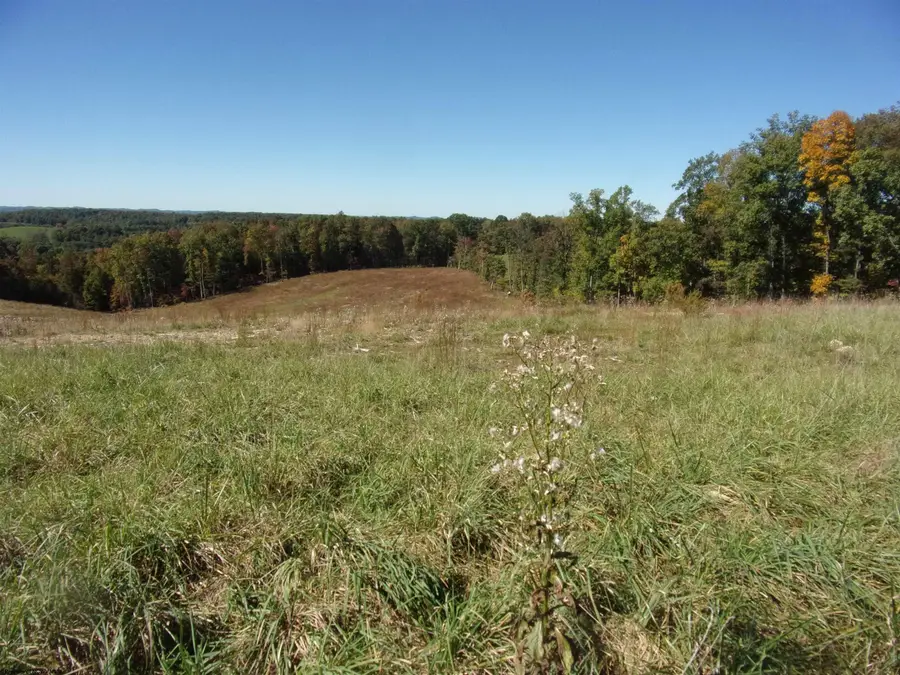 0 Everson Road, Buckhannon, WV 26201 - #3