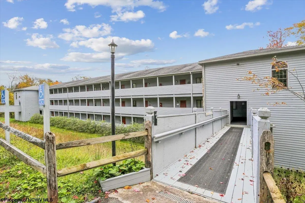 113 Ash Lodge Court, Davis, WV 26260 - #1
