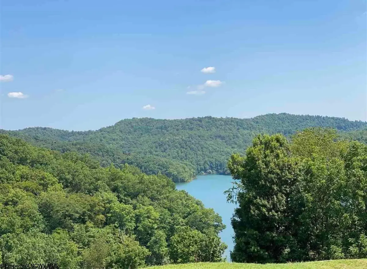 Lot 1 Lakeview Drive, Horner, WV 26372 - #1