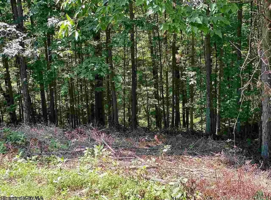 Lot 1 Lakeview Drive, Horner, WV 26372 - #3
