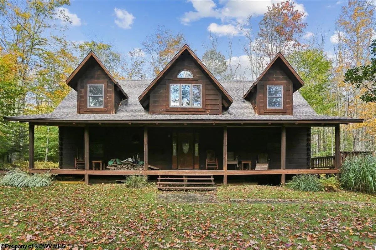 195 Bobcat Road, Davis, WV 26260 - #1