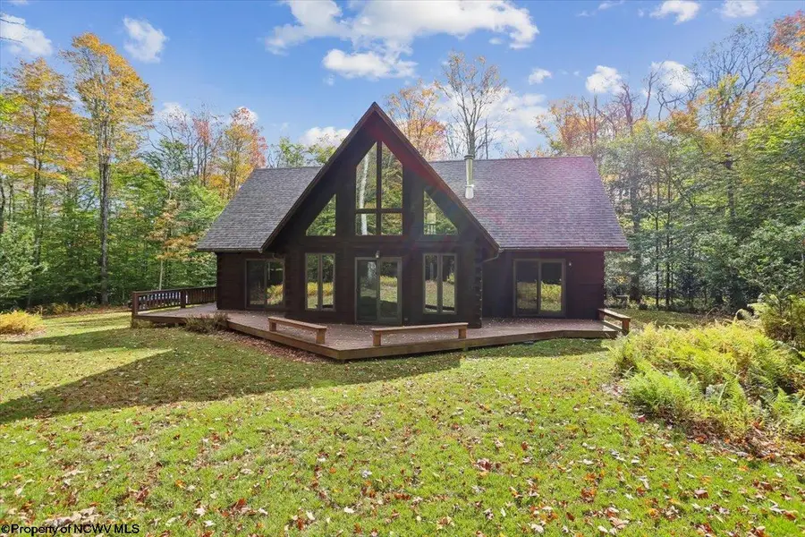 195 Bobcat Road, Davis, WV 26260 - #2