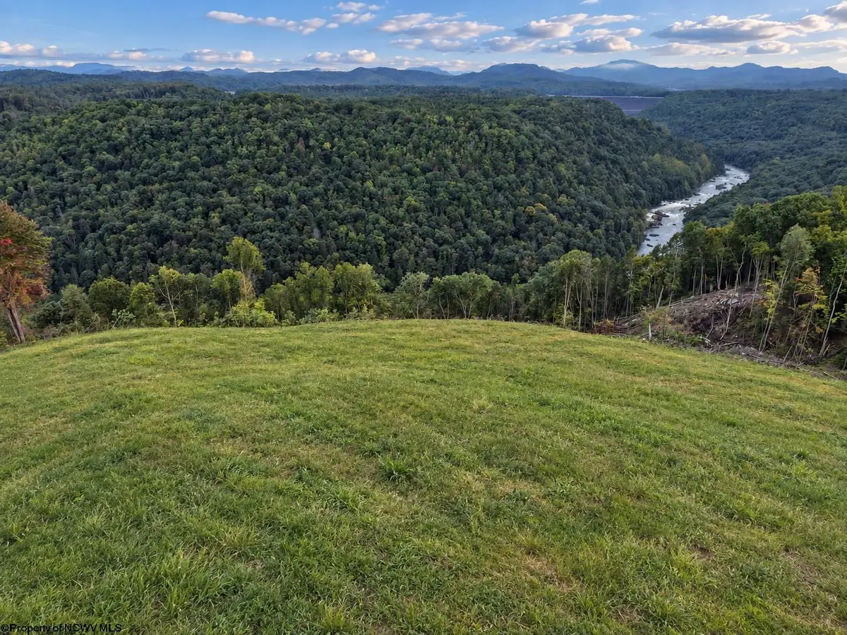 Lot 20 Arrowhead Drive, Mount Nebo, WV 26679 - #1
