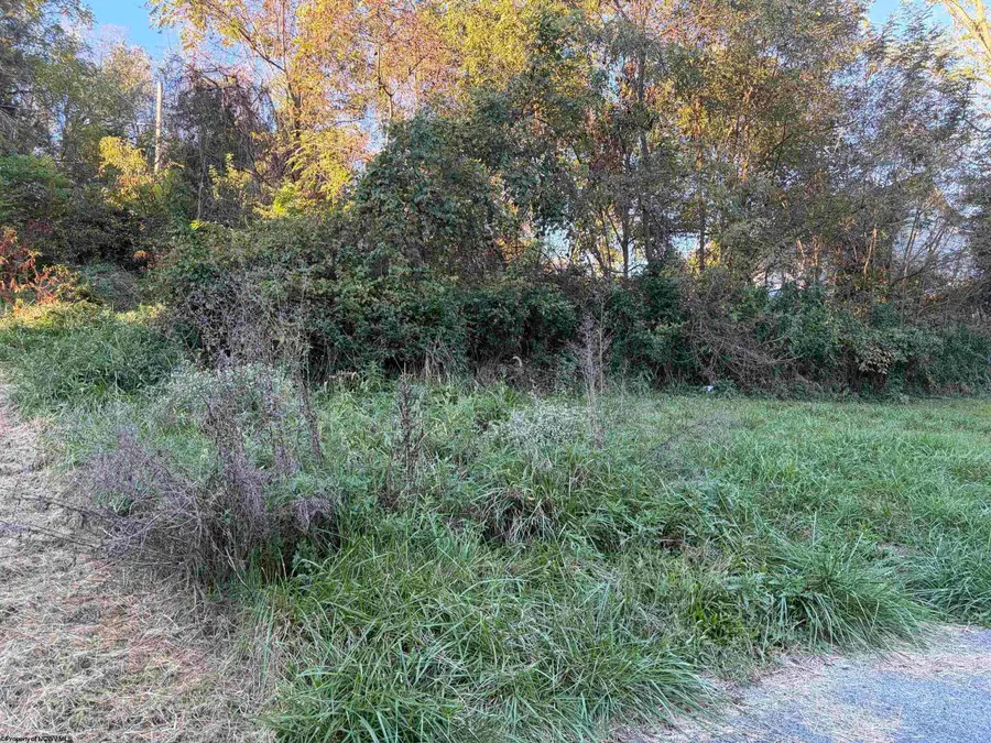 TBD Gladden View Avenue, Fairmont, WV 26554 - #2