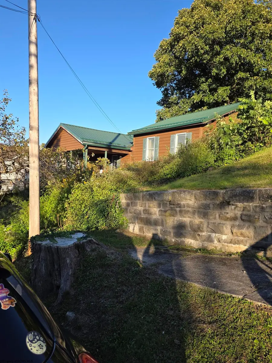 262 Brown Street, Thomas, WV 26292-0000 - #2
