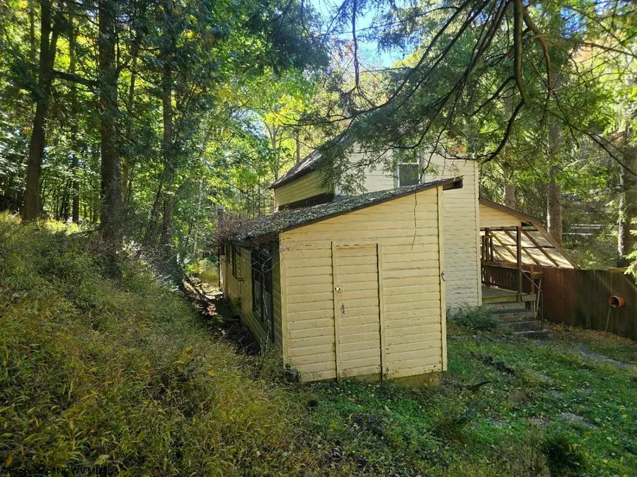 302 Harpertown Road, Elkins, WV 26241 - #2