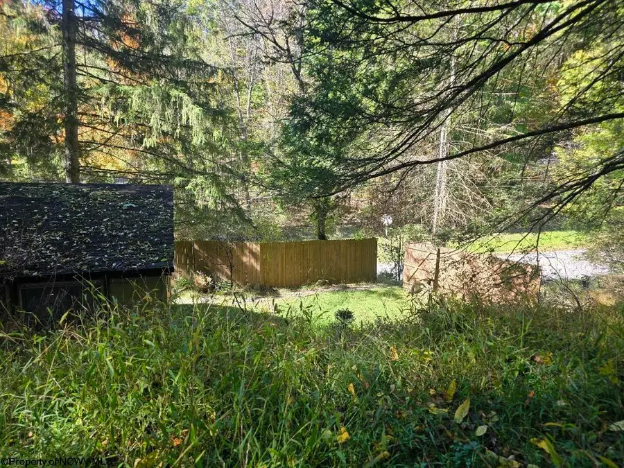 302 Harpertown Road, Elkins, WV 26241 - #3