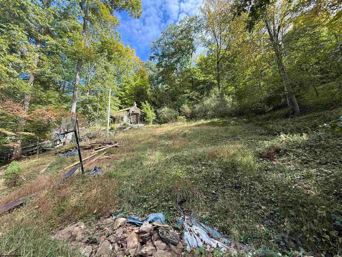 1376 Lake Floyd Circle, Bristol, WV 26426 - #1