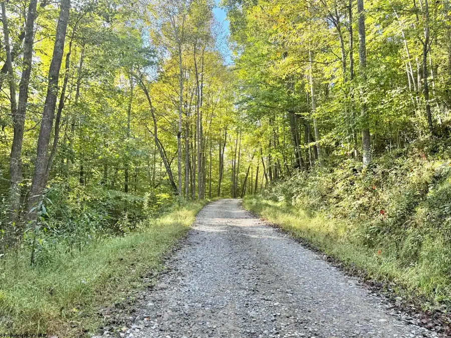 290 Long Fork Road, Eastern, WV 26623 - #2