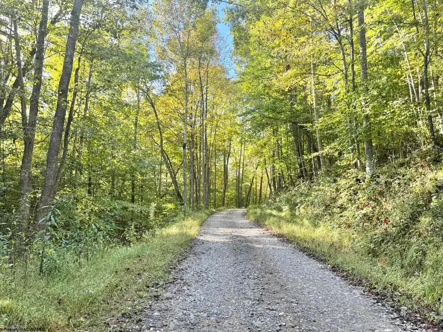 290 Long Fork Road, Eastern, WV 26623 - #3