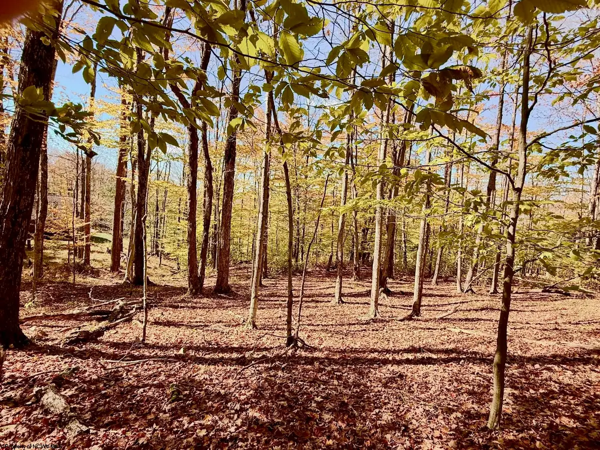Lot 90 Mountainside Road, Davis, WV 26260-0000 - #1