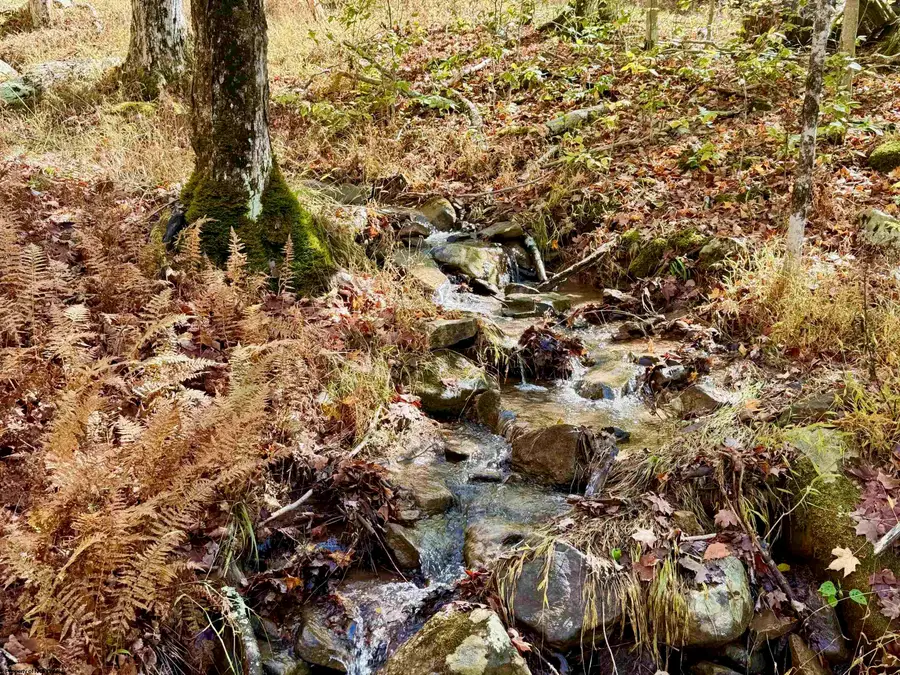 Lot 90 Mountainside Road, Davis, WV 26260-0000 - #2