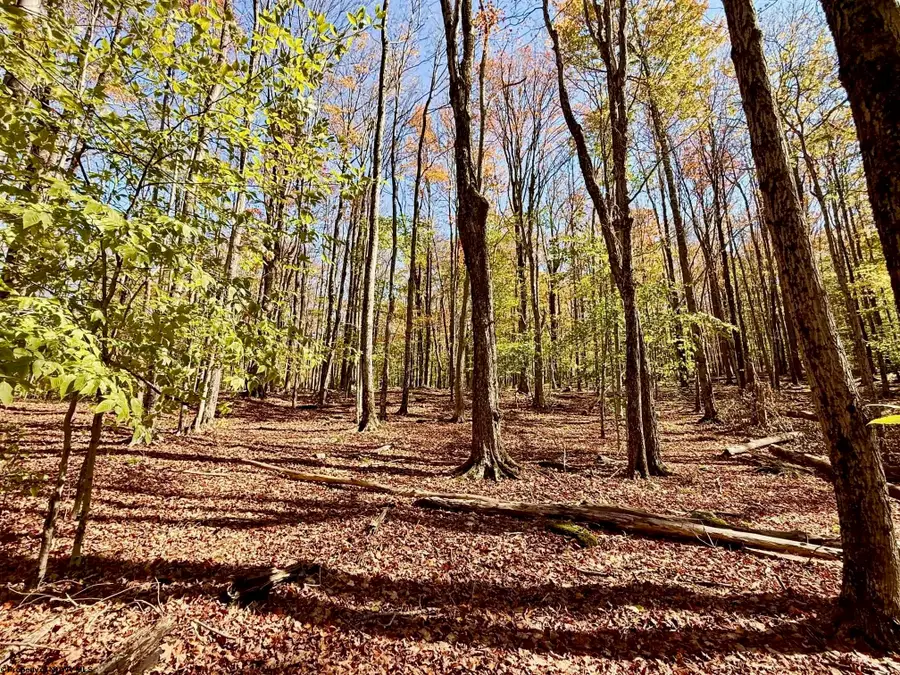 Lot 90 Mountainside Road, Davis, WV 26260-0000 - #3