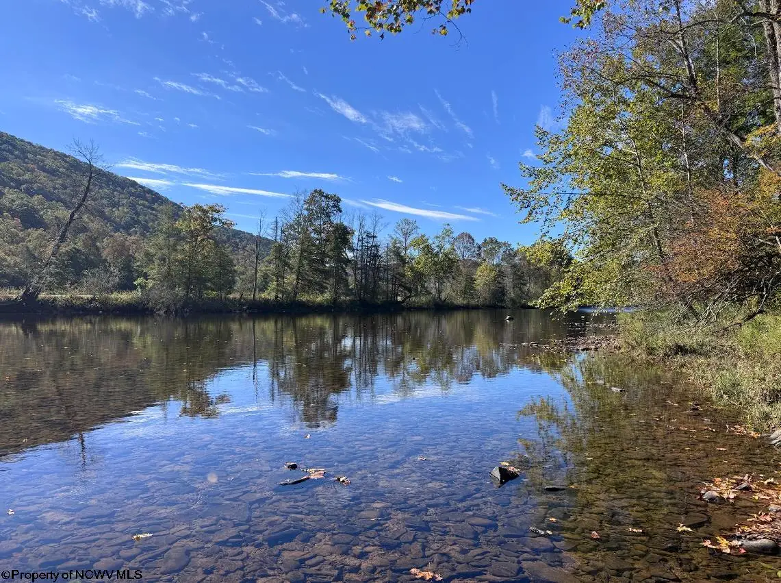 Lot 1 Cravens Run Road, Leadsville, WV 26240 - #1
