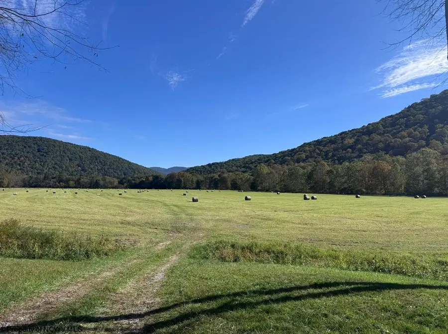 Lot 1 Cravens Run Road, Leadsville, WV 26240 - #2