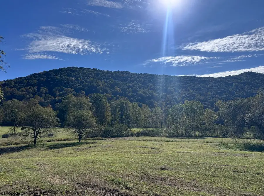 Lot 1 Cravens Run Road, Leadsville, WV 26240 - #3