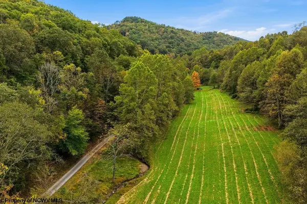 TBD Peach Tree Fork Road, Normantown, WV 25267