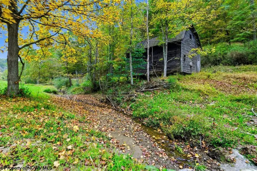TBD Peach Tree Fork Road, Normantown, WV 25267 - #2