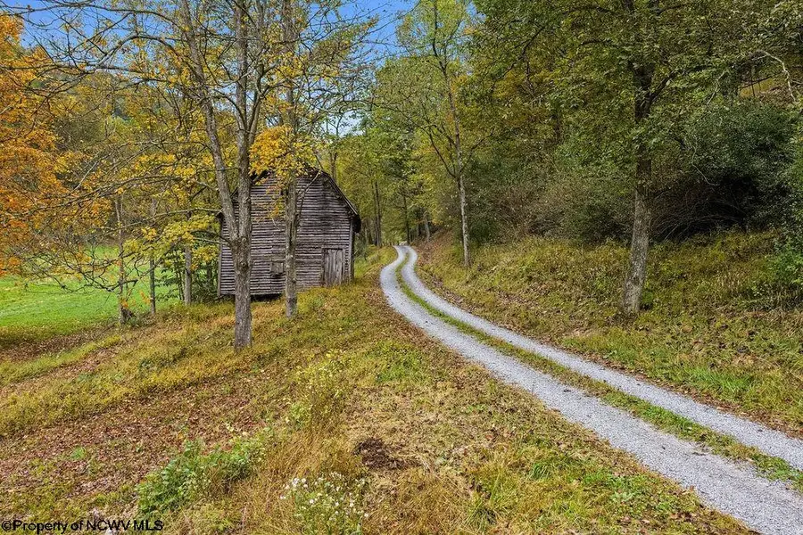 TBD Peach Tree Fork Road, Normantown, WV 25267 - #3