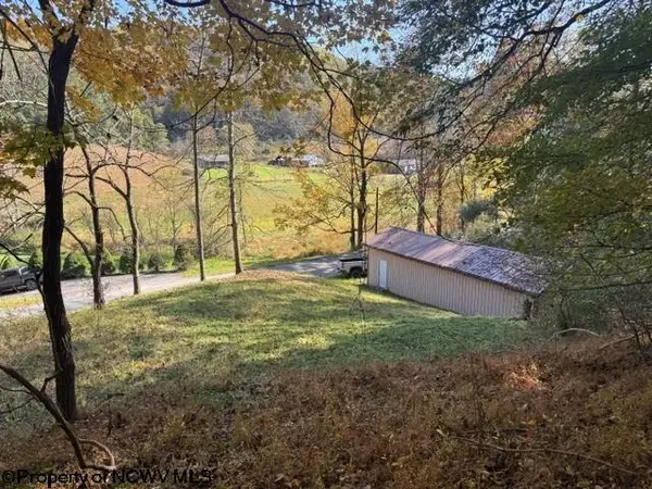 TBD Wetstone Road, Mannington, WV 26582