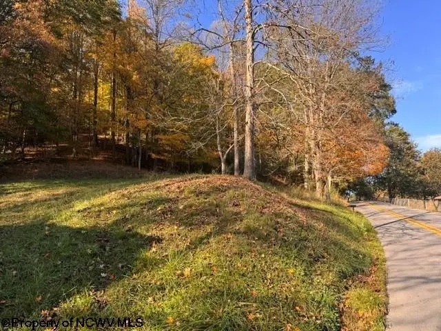 TBD Wetstone Road, Mannington, WV 26582 - #2