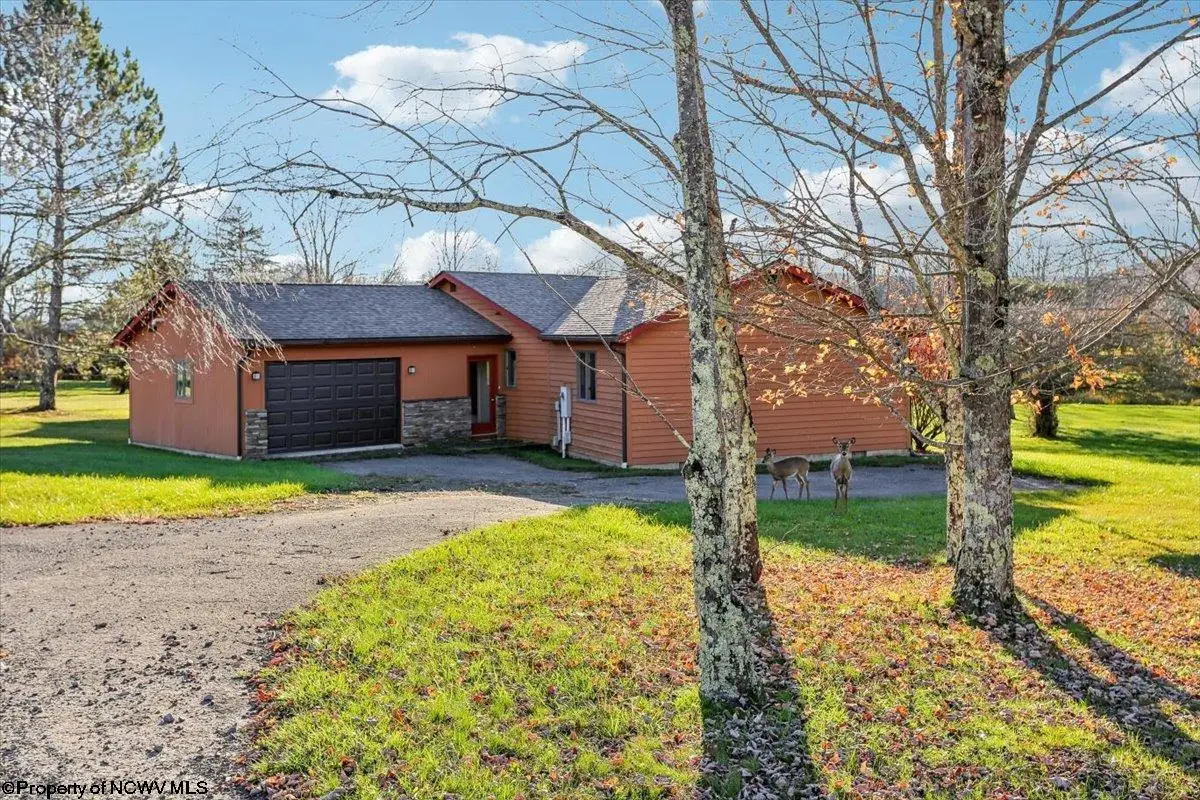 28 Pancake Lane, Davis, WV 26260 - #1