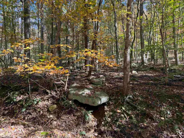 TBD Clemtown Road, Philippi, WV 26416