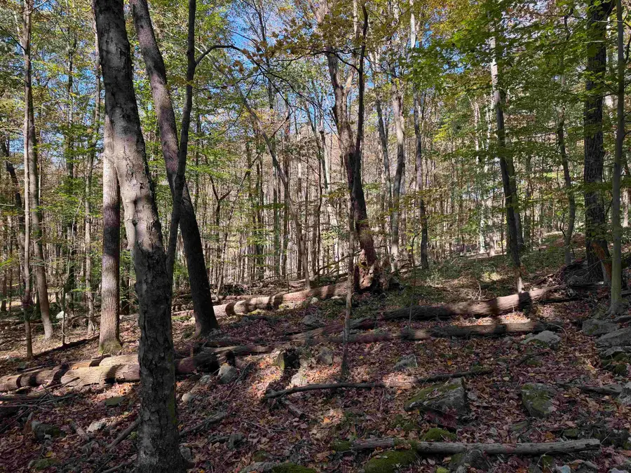 TBD Clemtown Road, Philippi, WV 26416 - #2
