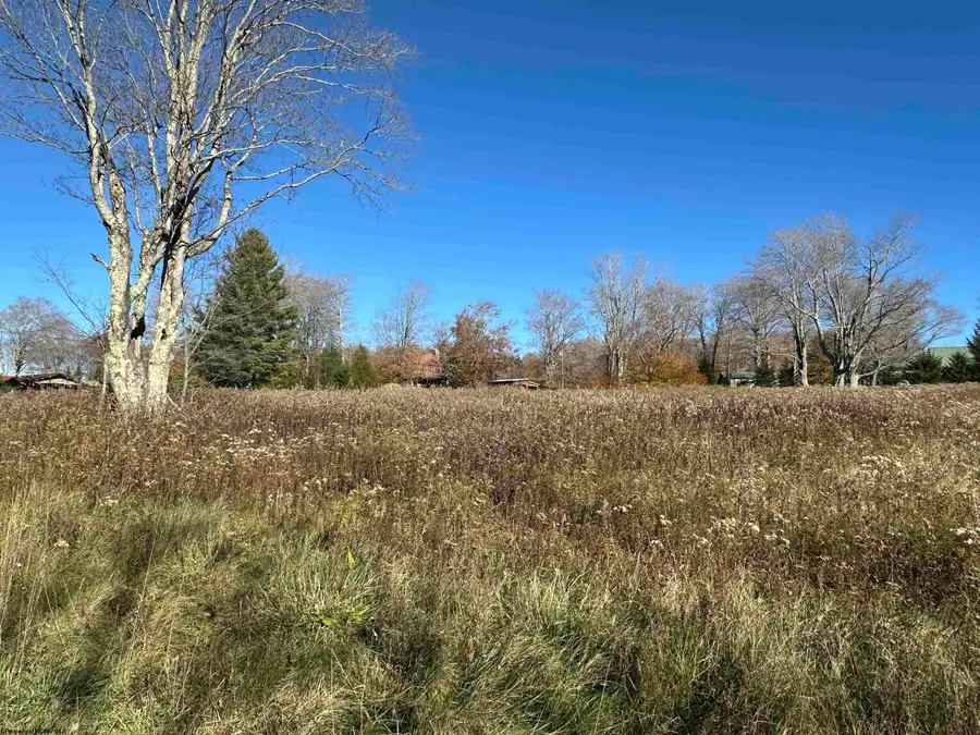 00 Pancake Lane, Davis, WV 26260 - #3