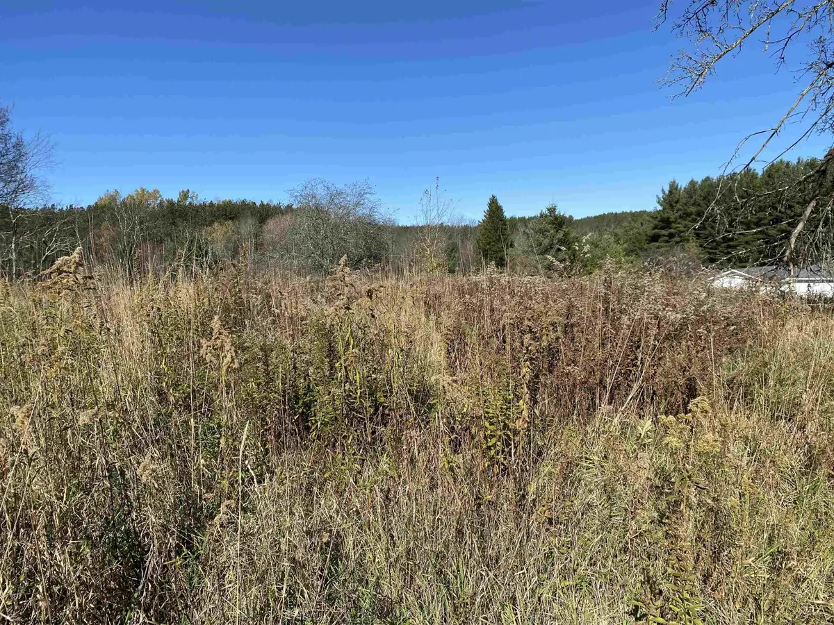 254 Buckmaster Alley, Davis, WV 26260 - #1
