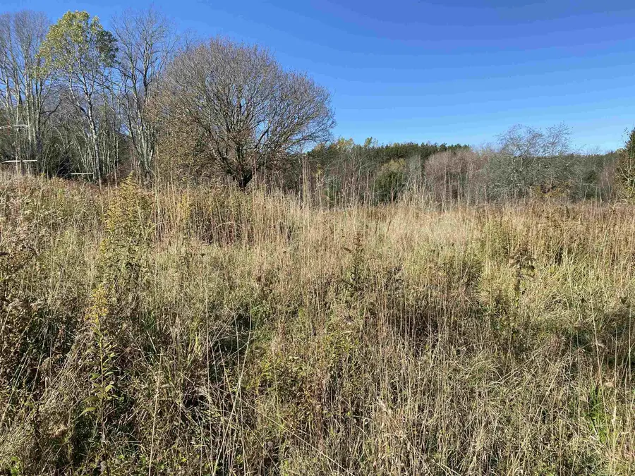254 Buckmaster Alley, Davis, WV 26260 - #2