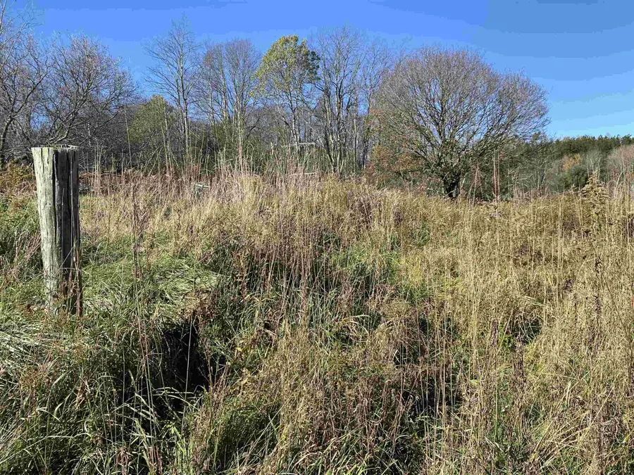 254 Buckmaster Alley, Davis, WV 26260 - #3