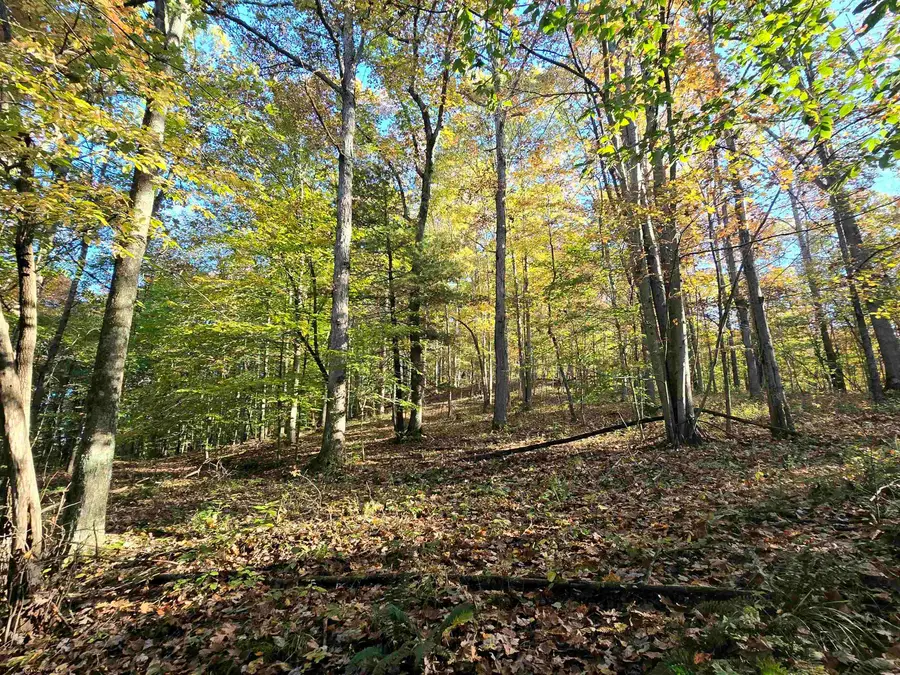 RT 4 Broad Run, Center Point, WV 26339 - #2
