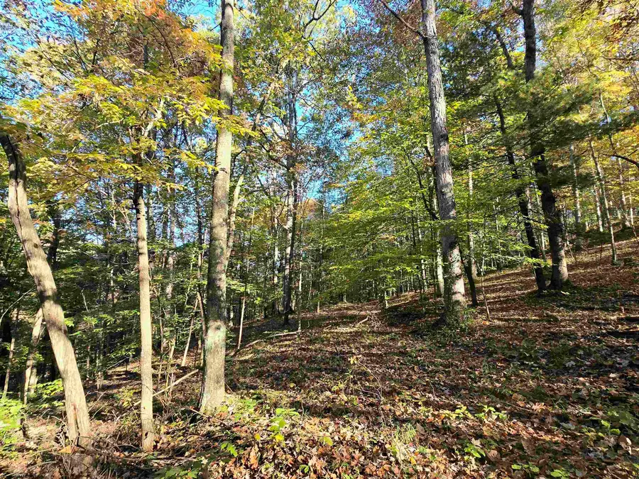RT 4 Broad Run, Center Point, WV 26339 - #3